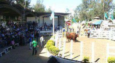 Avanza toda la organizaci�n para la Fiesta del Ternero y Novillito Formose�o 2013