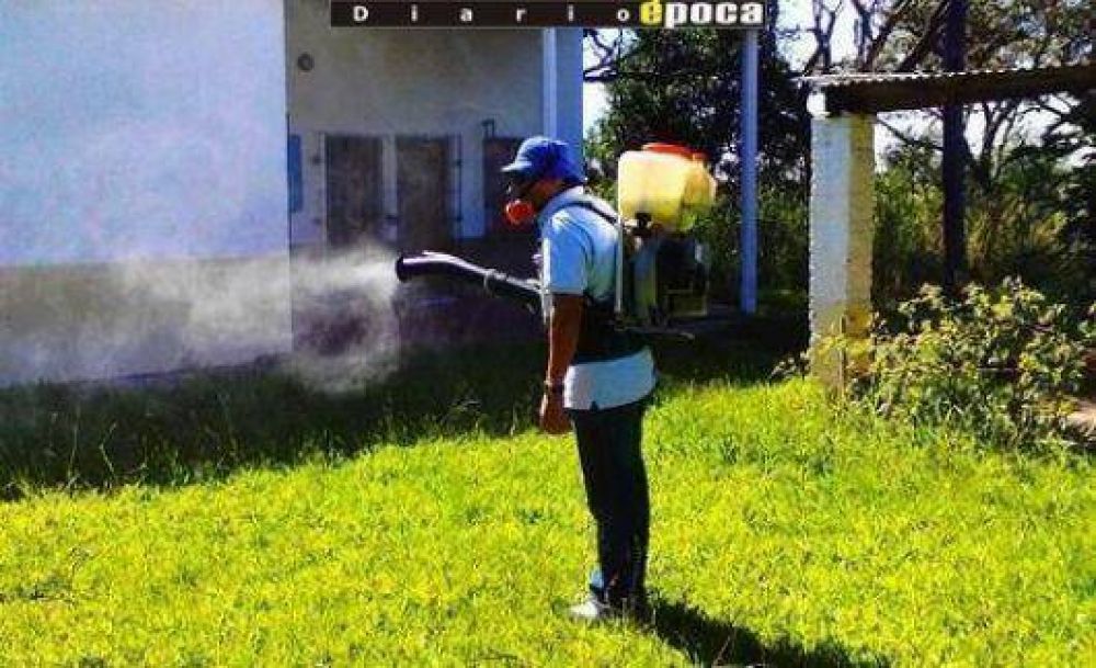 Dengue: descartan un brote pese a los 8 supuestos casos detectados