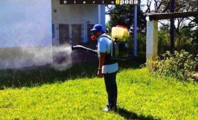 Dengue: descartan un brote pese a los 8 supuestos casos detectados