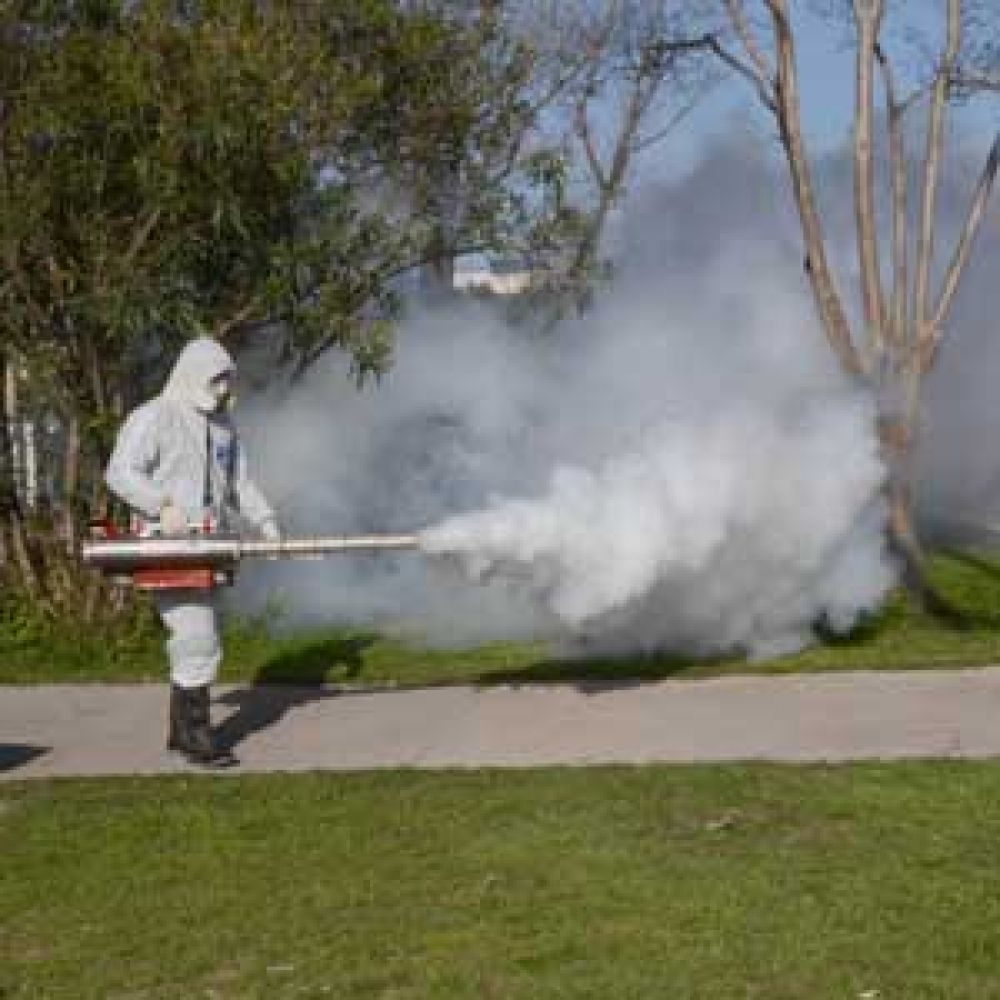 Dengue: alerta en la provincia