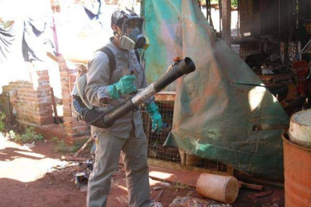 En alerta: Hay dos casos sospechosos de dengue en Posadas
