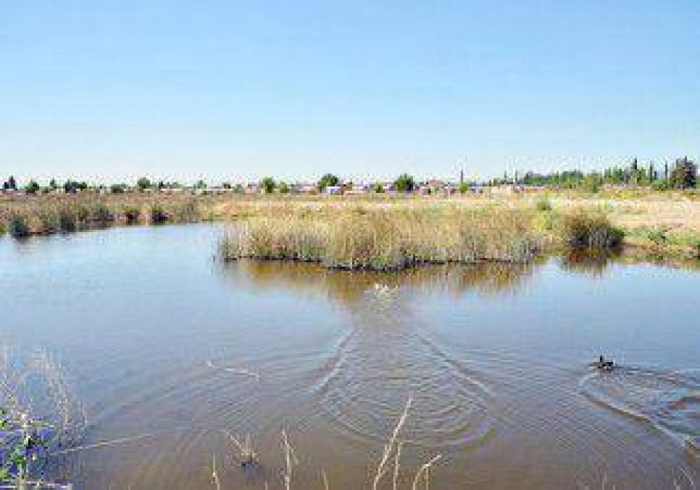 Arrojaban materiales contaminantes dentro de la laguna de San Lorenzo 