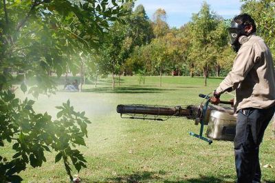 EL MUNICIPIO DE LAN�S TRABAJA EN LA PREVENCI�N DEL DENGUE