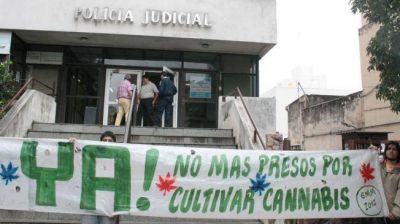 Pas� 13 d�as en la c�rcel por tener marihuana para consumo personal