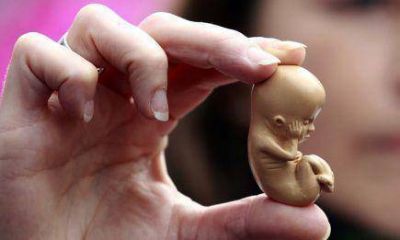 Seg�n Herrera Ahuad, en Misiones nadie solicit� un aborto no punible