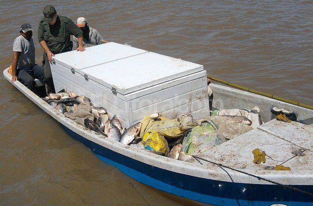 Incautan m�s de 500 pescados y mil metros de malla calada fuera de la medida reglamentaria