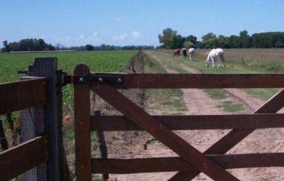 Inmuebles rurales, IBP e IGMP