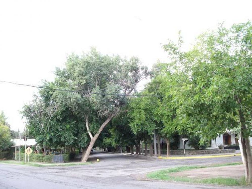 Osse detect� que varios usuarios del barrio del Bono sacaban agua potable de la red de forma ilegal