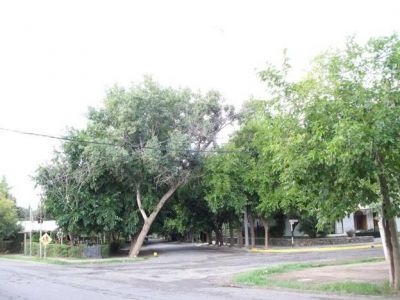 Osse detect� que varios usuarios del barrio del Bono sacaban agua potable de la red de forma ilegal