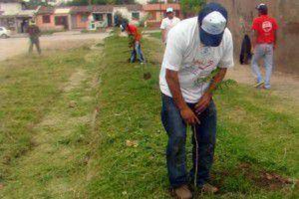 Contin�a el Programa �Un �rbol para mi vereda�