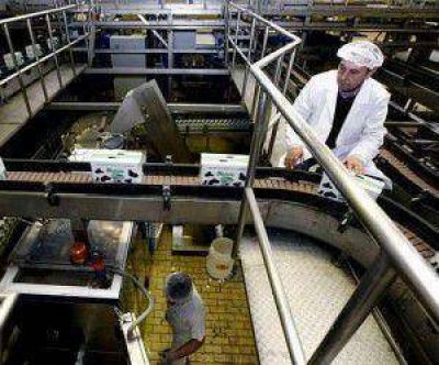 Espa�a: Alimentos L�cteos incluy� a las cooperativas en las quitas