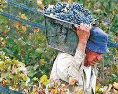 Hoy firman el incremento para los obreros de vi�as y bodegas