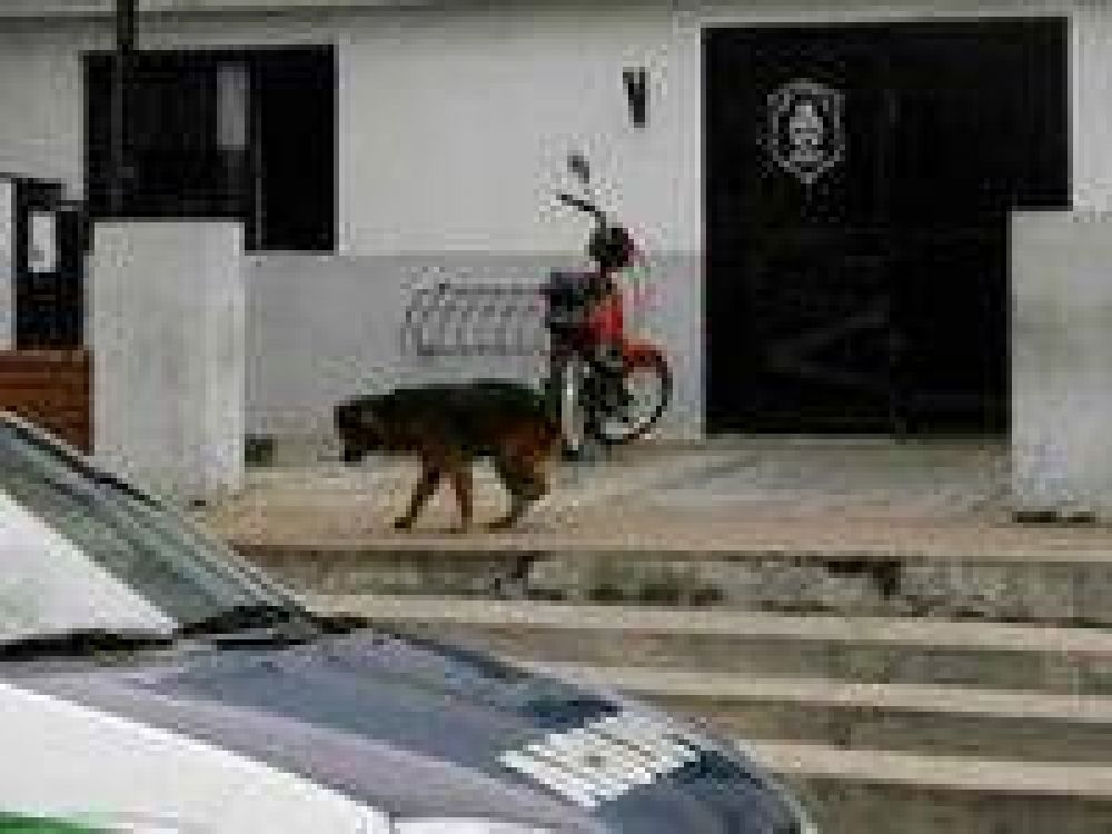 Desafectaron al comisario y a seis polic�as de la Comisar�a Tercera