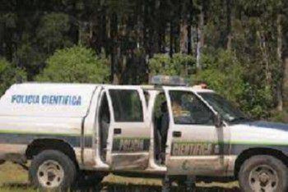 Bat�n: Un operativo realizado por la Municipalidad detect� estupefacientes