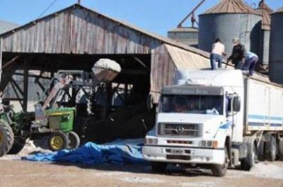 El estado ya adquirio 12.000 kilos de algodon en las primeras planchadas 