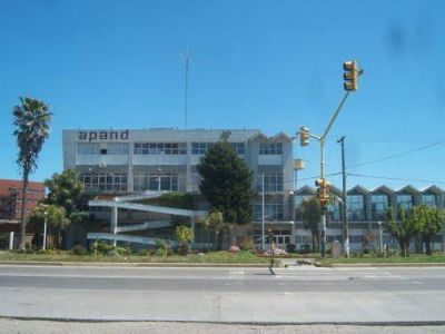 Un joven emprendedor busca un �padrinazgo�