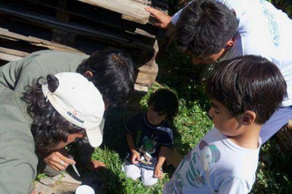 Unen esfuerzos contra el Dengue y la Leishmaniasis