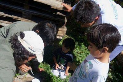 Unen esfuerzos contra el Dengue y la Leishmaniasis