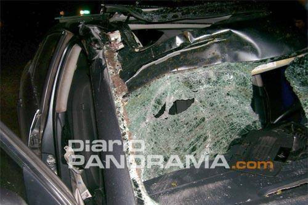 Un animal suelto provoc� una tragedia en ruta 64
