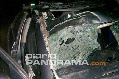 Un animal suelto provoc� una tragedia en ruta 64