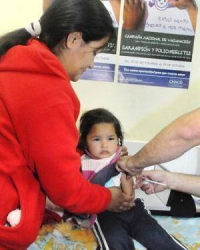 En los pr�ximos d�as llegan las vacunas antigripales