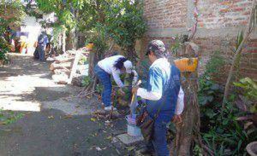 Dengue: Las acciones llegan este mi�rcoles a seis barrios capitalinos