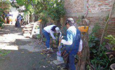 Dengue: Las acciones llegan este mi�rcoles a seis barrios capitalinos