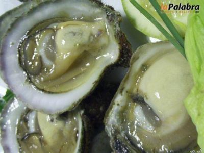Se decomisaron 25 Kilos de pulpa de ostra