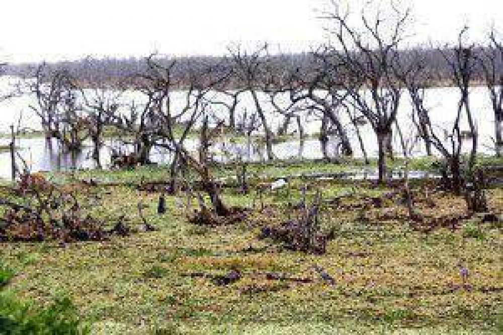 El frente de agua en el ba�ado La Estrella se encuentra a 20 kil�metros de la ruta 28