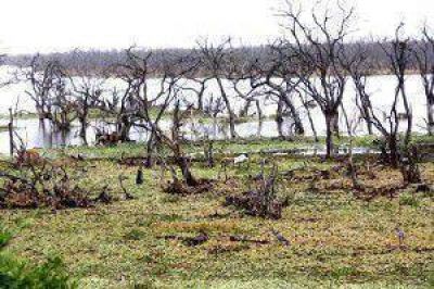 El frente de agua en el ba�ado La Estrella se encuentra a 20 kil�metros de la ruta 28
