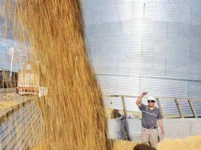 Comienzo de carrera corta en clasificaci�n agraria