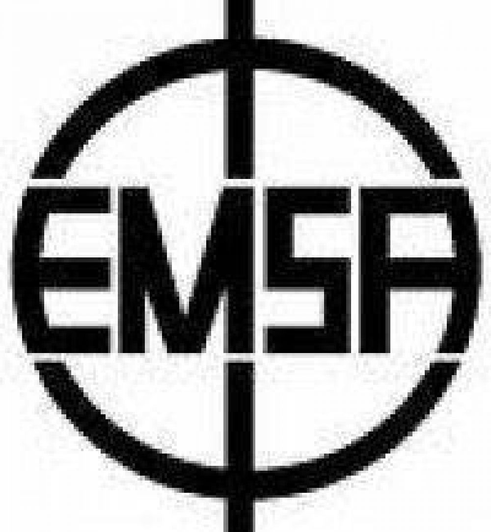 Emsa: 37 millones de d�lares en obras y casi 40 mil l�mparas en alumbrado