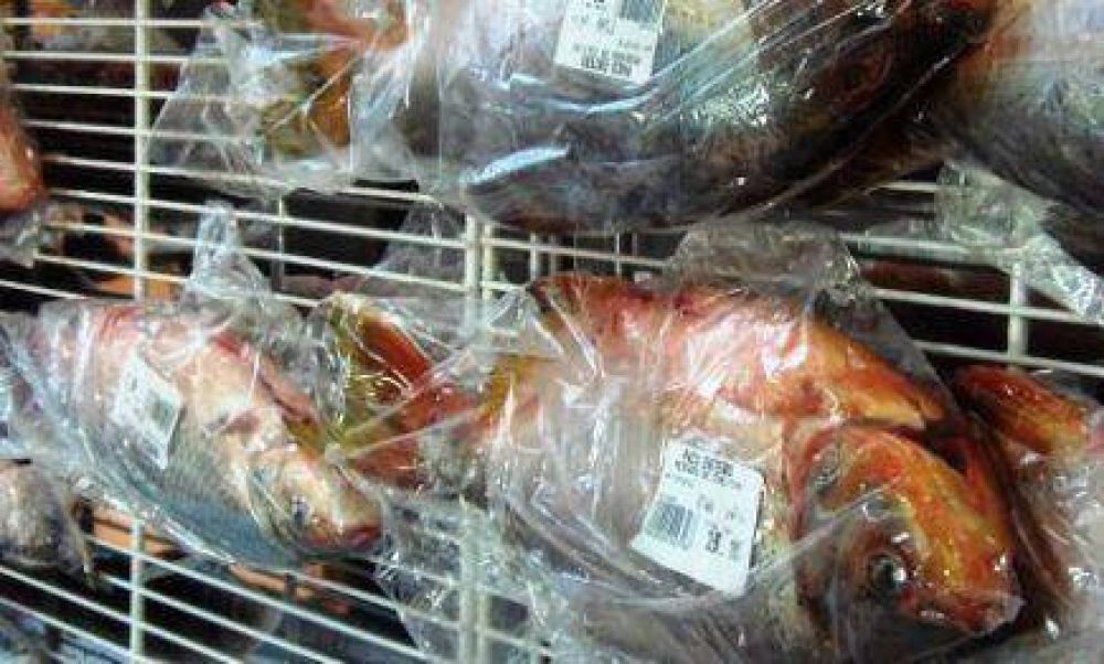 Desde este jueves vuelven a comercializar pescado misionero en el Mercado Concentrador
