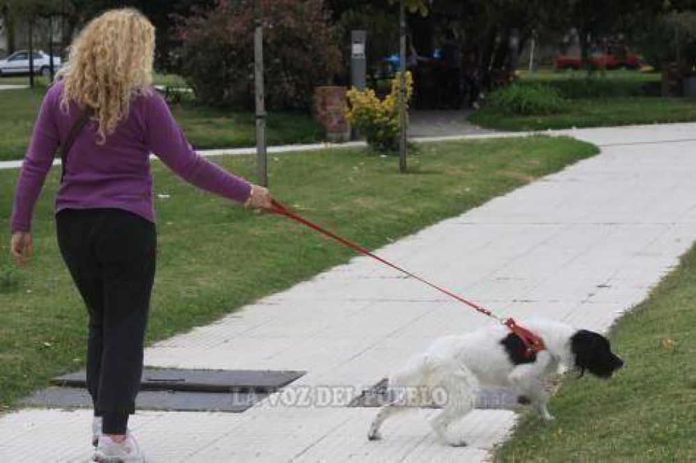 Crece la preocupaci�n por el robo de perros