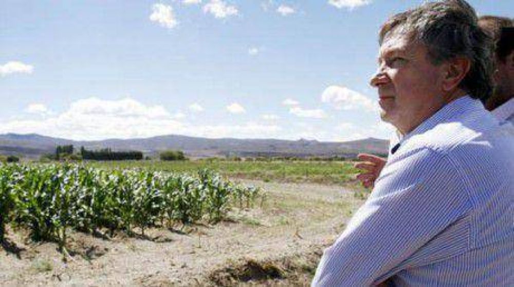 Ma�z para todos. Yauhar: "queremos llegar a 30 mil hect�reas"