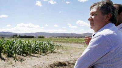 Ma�z para todos. Yauhar: "queremos llegar a 30 mil hect�reas"
