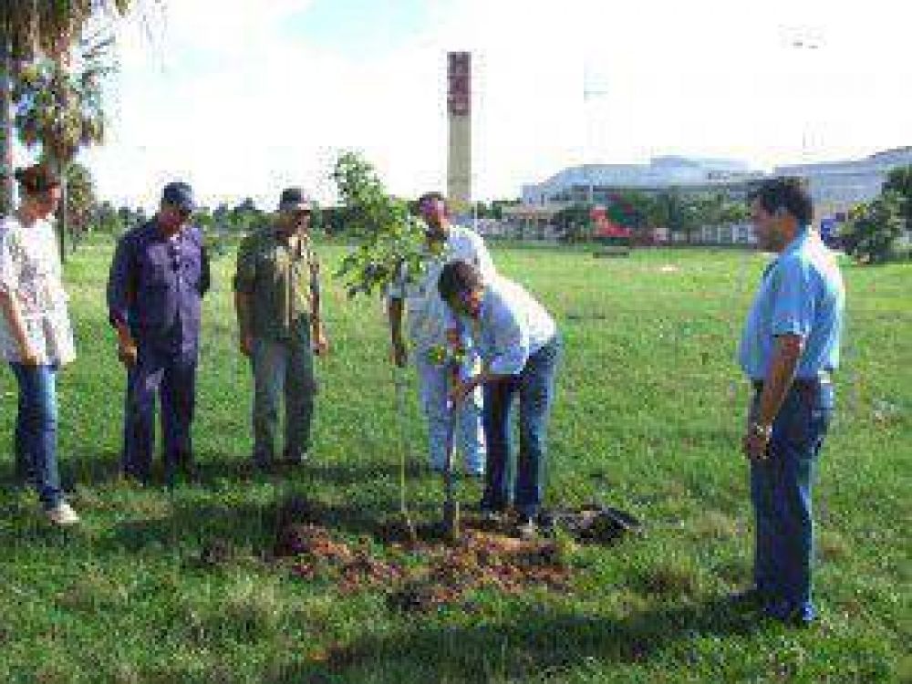 Se plantaron �rboles en el acceso norte para festejar el D�a Forestal Mundial