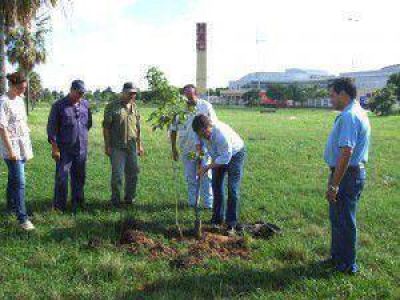 Se plantaron �rboles en el acceso norte para festejar el D�a Forestal Mundial