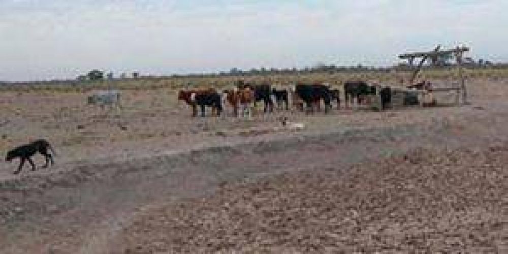 Agro: Convocan a la Comisi�n de Emergencia