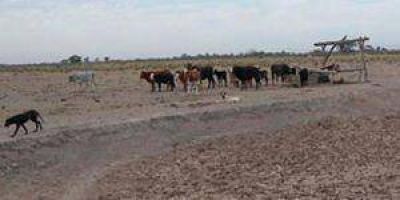 Agro: Convocan a la Comisi�n de Emergencia