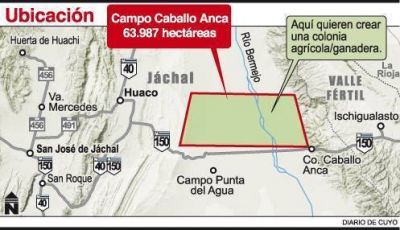 Apuntan a olivo y vid, para la nueva colonia agr�cola