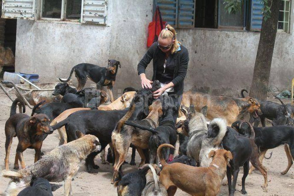 Pol�mica por un refugio de 200 perros en Sauce Viejo