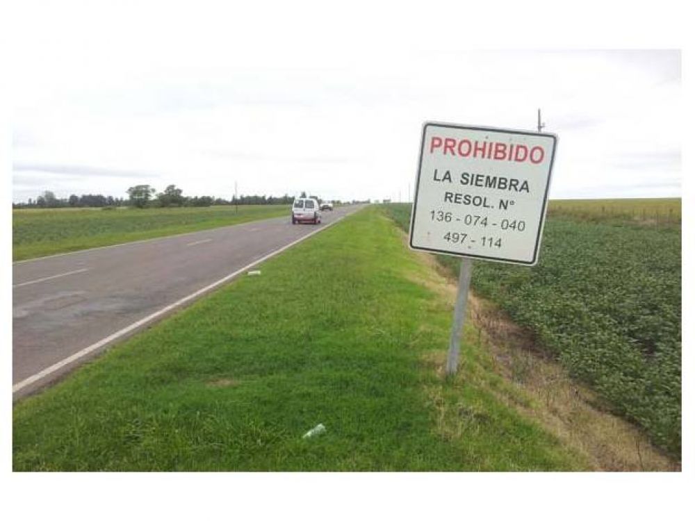 Vialidad comenz� a destruir los sembrados en las banquinas
