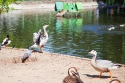 Bah�a Blanca seguir� teniendo un zool�gico con animales de granja