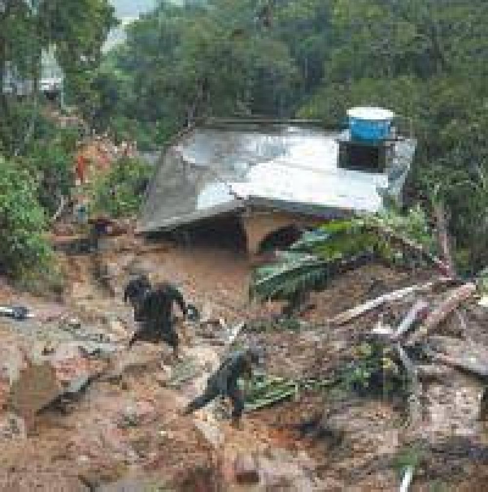 Las lluvias torrenciales ya dejaron un saldo de 31 muertos en Brasil