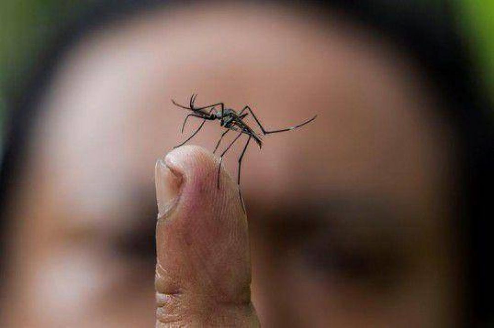 Se detect� un caso de dengue en el conurbano bonaerense