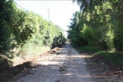 Pavimentaci�n de calle M�rmoz: unos 30 mil vecinos tendr�n un nuevo camino de acceso
