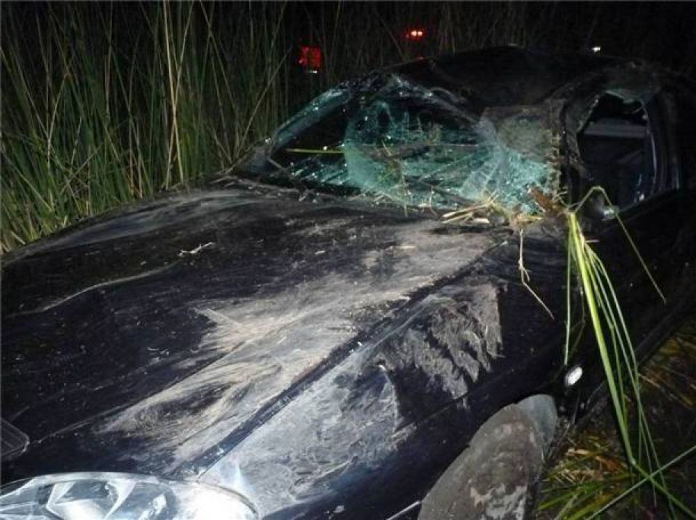 Se despist� un veh�culo en la ruta 205, a 65 kil�metros de Bol�var