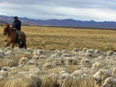 Prorrogan estado de emergencia agropecuaria en Santa Cruz