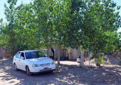 Hallaron m�s dinero robado en Yaguar enterrado en una vivienda 